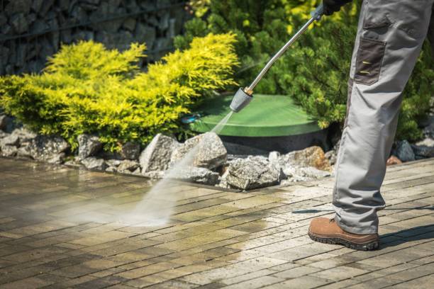 Best Parking Lot and Garage Cleaning  in Laingsburg, MI