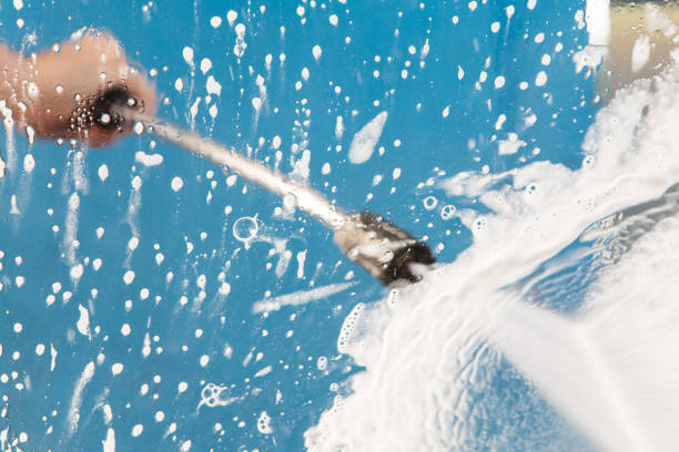 Best Animal Enclosure Cleaning  in Laingsburg, MI