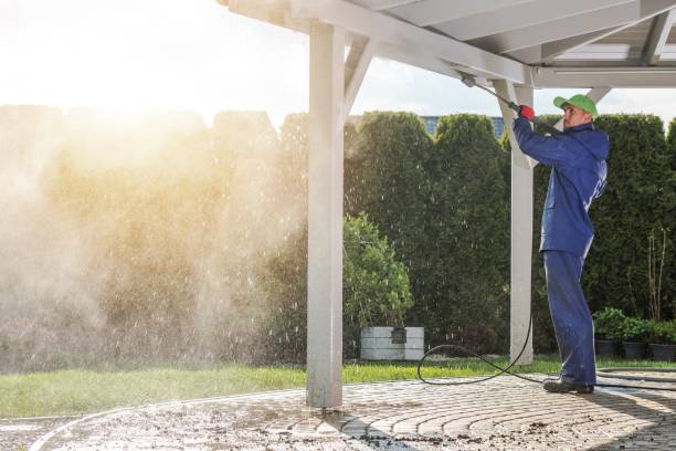 Best Post-Construction Pressure Washing  in Laingsburg, MI
