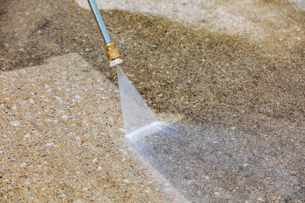 Best Gutter Cleaning  in Laingsburg, MI