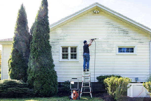 Professional Pressure Washing in Laingsburg, MI