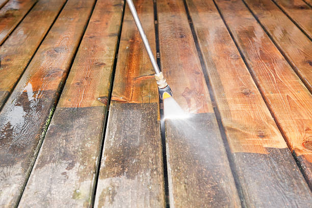 Best Dumpster Area Cleaning  in Laingsburg, MI