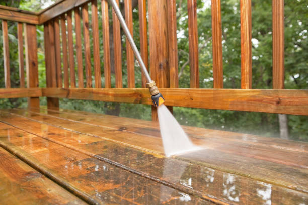 Best Pool Deck Cleaning  in Laingsburg, MI
